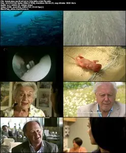 Brave New World With Stephen Hawking S01E06