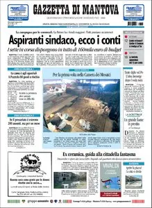 LA GAZZETTA DI MANTOVA DEL 03 MARZO 2010