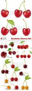 Vectors - Realistic Cherry Set