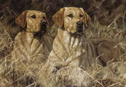 Artworks of John Trickett