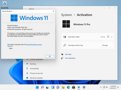 Windows 11 Pro 21H2 Build 22000.593 (x64) (No TPM Required) With Office 2021 Pro Plus Multilingual Preactivated