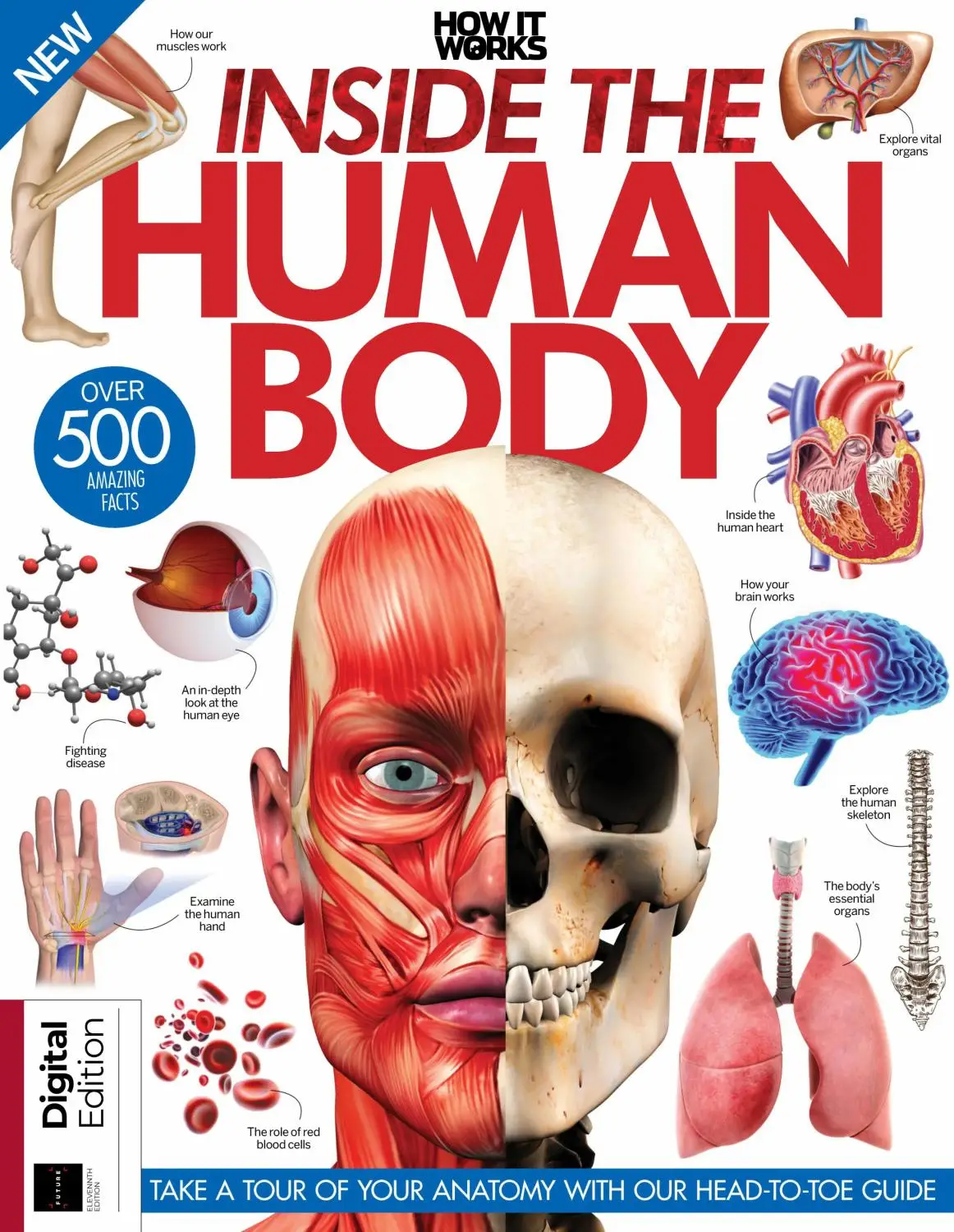 How It Works Inside The Human Body 2023年11th Edition - 4月