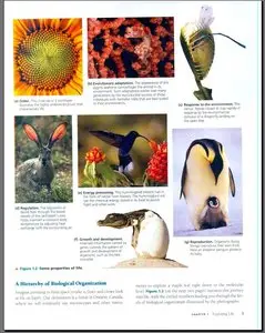 Biology, 7th Edition by Neil A. Campbell, Jane B. Reece