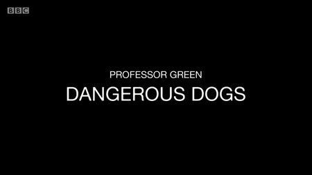 BBC - Professor Green: Dangerous Dogs (2016)