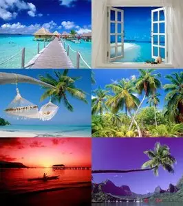 Tropical Paradise Wallpapers