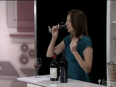 The everyday guide to wines of Italy (Video course)