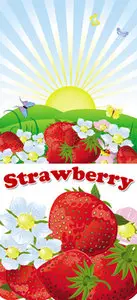 Strawberry Vector