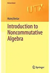Introduction to Noncommutative Algebra [Repost]