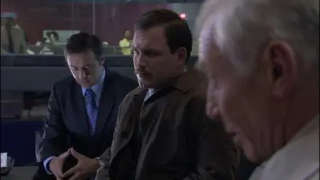 The Accidental Witness (2006)
