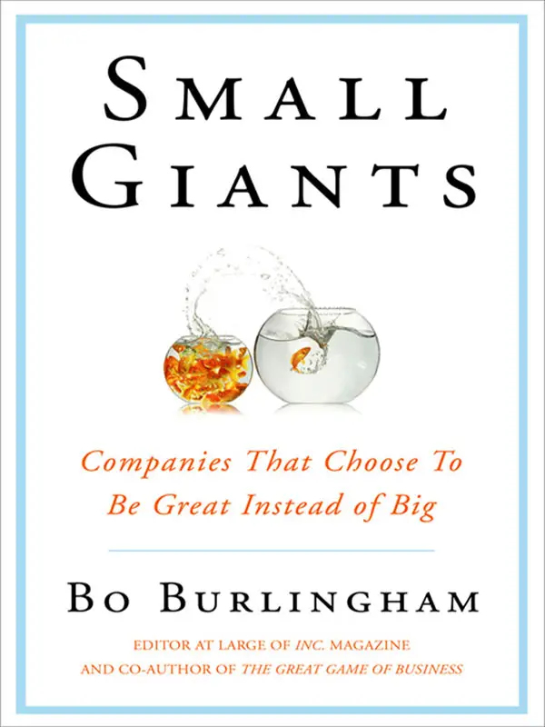 Small Giants: Companies That Choose to Be Great Instead of Big (repost)