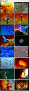 THE MIRACLE OF MAN'S CREATION