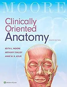 Clinically Oriented Anatomy, 8th Edition (repost)