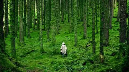 Ancestral Healing Course: Work With Ancestral Spirit Guides