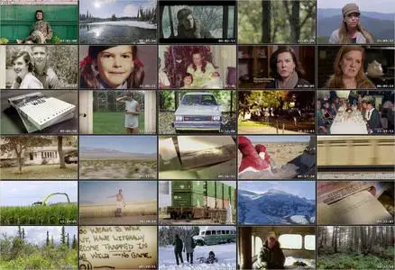 Return to the Wild: The Chris McCandless Story (2014)