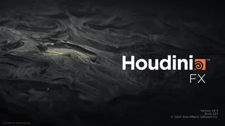 SideFX Houdini FX 18.5.462 (x64)