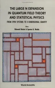 The Large N Expansion in Quantum Field Theory and Statistical Physics