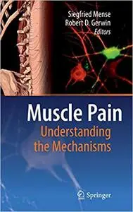 Muscle Pain: Understanding the Mechanisms