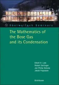 The Mathematics of the Bose Gas and its Condensation (Repost)