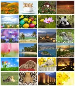 Webshots - Daily Photos (04/2012) - High Quality (1600x1200) & Wide Screen (1920x1080)