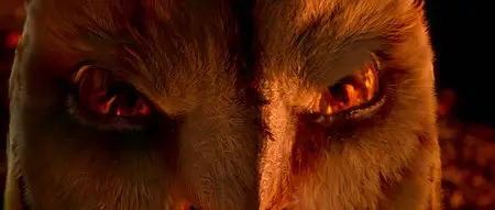 Legend of the Guardians: The Owls of Ga'Hoole / Легенды ночных стражей (2010)