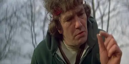 Wolfen (1981)
