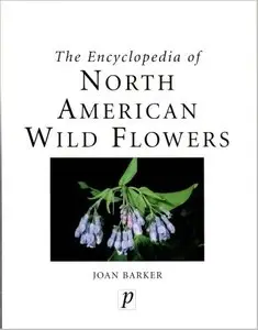 Encyclopedia of North American Wild Flowers by John Barker