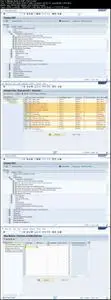 Master Data in SAP