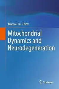 Mitochondrial Dynamics and Neurodegeneration (Repost)