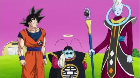 Dragon Ball Z : Battle of Gods (2013)