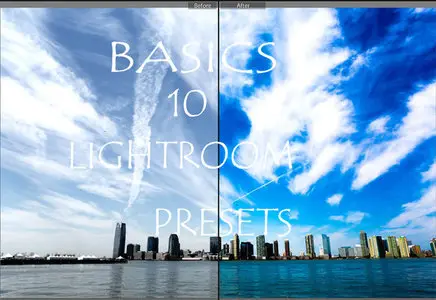 CreativeMarket - Lightroom presets-basics