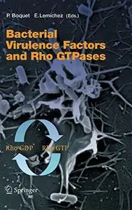 Bacterial Virulence Factors and Rho GTPases