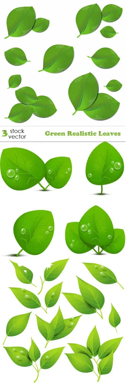 Vectors Green Realistic Leaves Avaxhome 3289