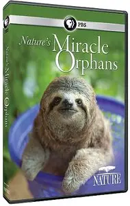 PBS Nature - Nature's Miracle Orphans: Wild Lessons (2015)