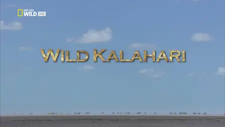 National Geographic - Wild Kalahari (2014)