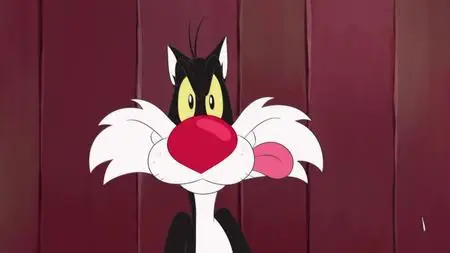 Looney Tunes Cartoons S01E90