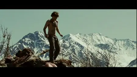 Into the Wild (2007) [Collector's Edition]