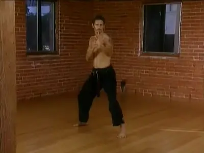 Cameron Shayne - Budokon DVD Set (2007)