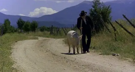 The Milagro Beanfield War (1988)