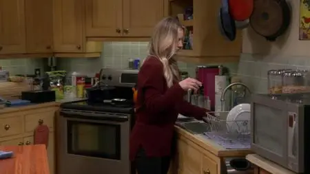 The Big Bang Theory S12E13