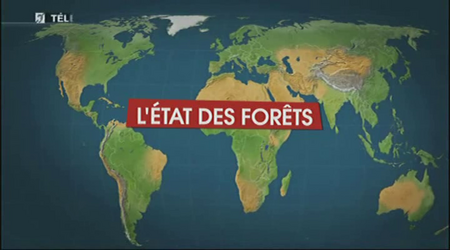 Le dessous des cartes : L'Etat des forêts (1 sur 3) (2010)