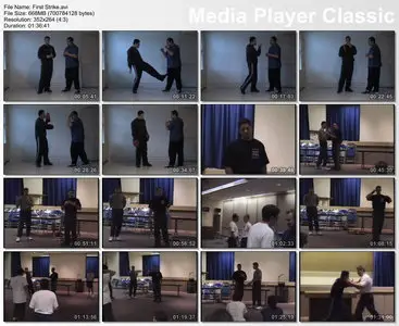 Martial Arts - CFA - First Strike (2006) reupload