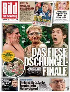 Bild Zeitung vom 27 Januar2013