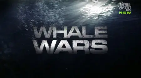 Animal Planet - Whale Wars S03E05: The Thrill Of The Chase (2010)