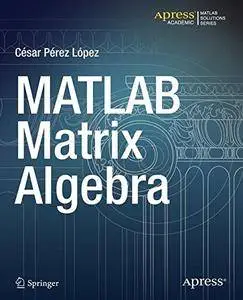 MATLAB Matrix Algebra (Matlab Solutions) [Repost]