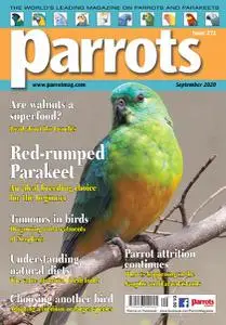 Parrots - September 2020