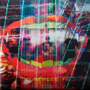 Animal Collective - Centipede Hz (2012) [DATA DVD to FLAC 24-bit/96kHz]