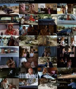 The Great Texas Dynamite Chase (1976) 
