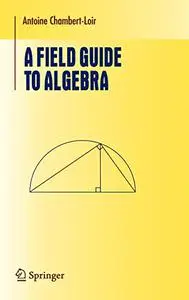 A Field Guide to Algebra (Repost)