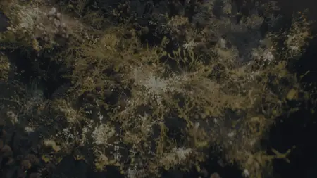 The Last of Us S02E03