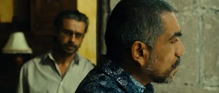 Colombiana (2011)